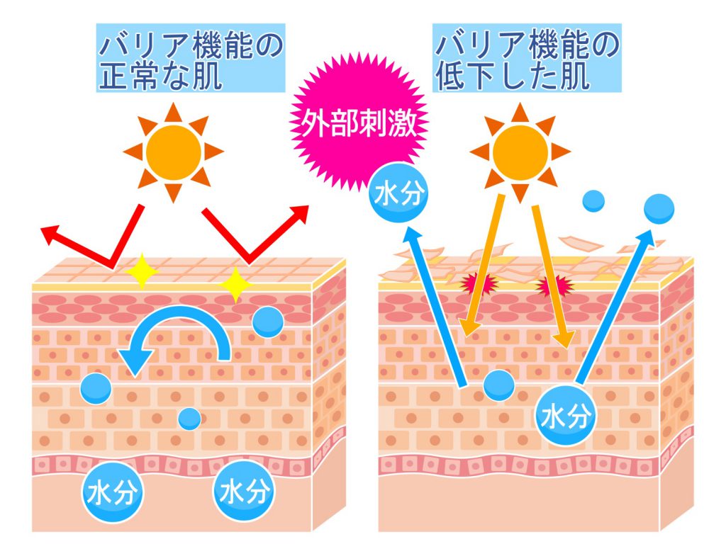 ６０日間美肌プログラム No １ バリア機能を守ることが美肌の基本